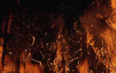 Brûlage des déchets