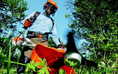 Bruits de jardinage – tapage