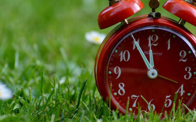 Horaires et informations pratiques