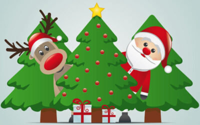 Que faire de votre sapin de Noël après les fêtes ?