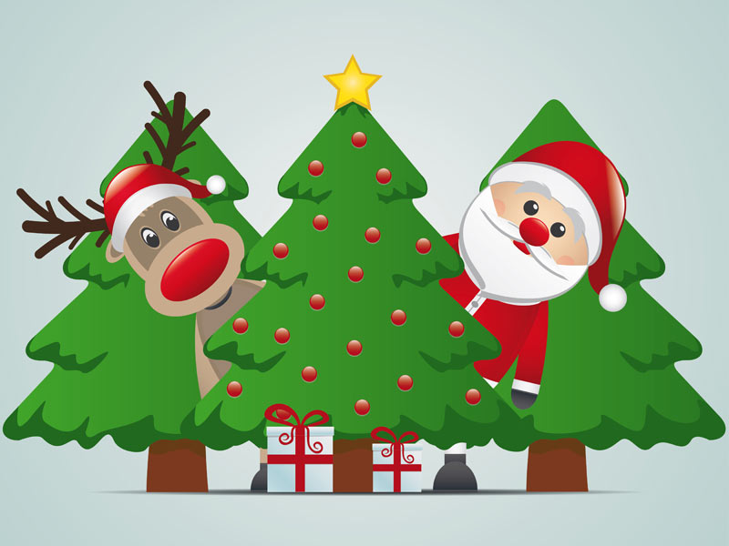 Que faire de votre sapin de Noël après les fêtes ?